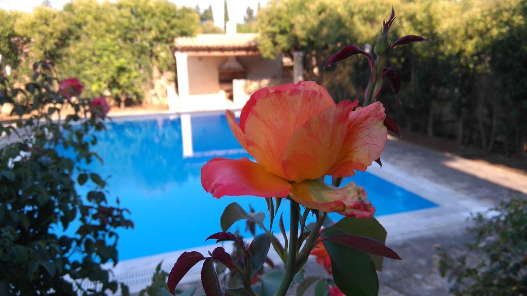 Cha Nanakas Village Inn Potamos  Экстерьер фото